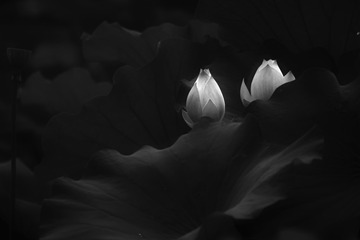 29052