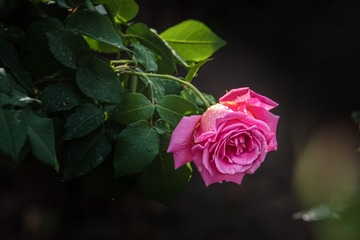 28023