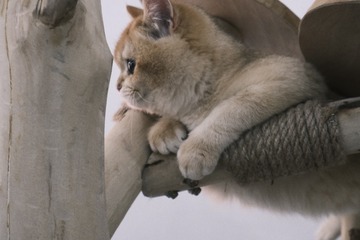 10157