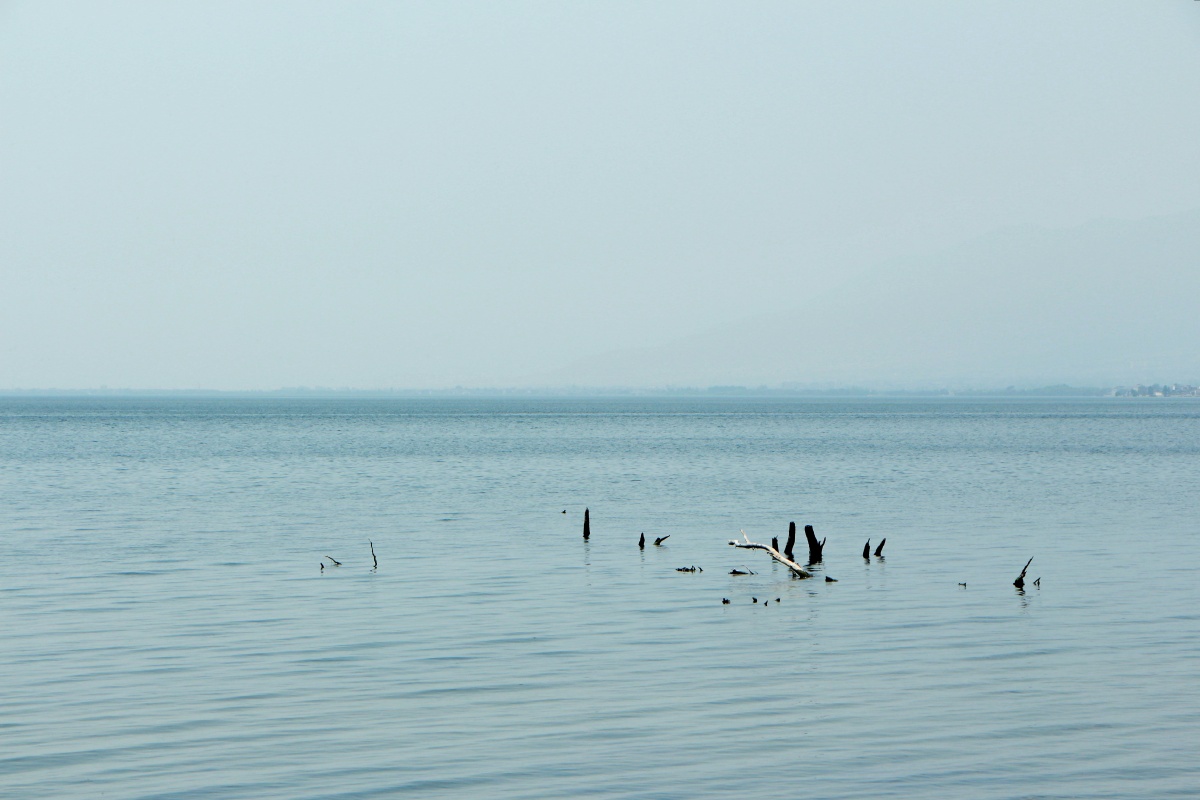 关注洱海|平静的湖面湖泊我的夏日生活风光洱海静谧旅行购买并下载购