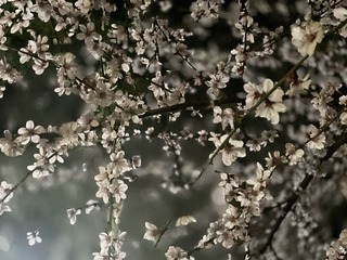6F682EE6-3456-4E92-AD2C-8E1A771E7A7D/L0/001