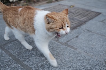475413