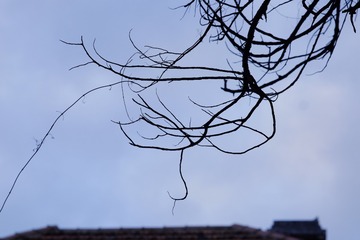 465474