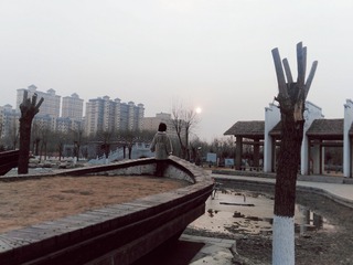 208645