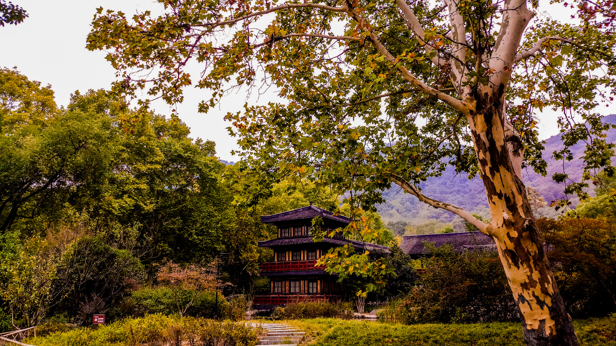 室外桃园——拍摄与襄阳