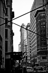 IMG_0815.jpg