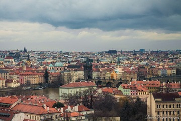 IMG_4490.jpg