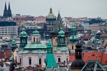 IMG_4559.jpg