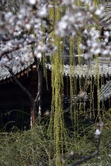 DA769856-9B6D-4C04-8F4E-E99E4847185B/L0/001