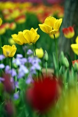 80CA6FD5-D714-433C-A718-A76541499C59/L0/001