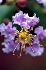 A76EFD0B-FEB1-40F7-94CC-0ABF3065734A/L0/001