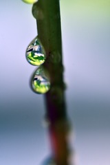 D99D50A6-7BBD-4CEE-A9A6-EE257FD6DC13/L0/001