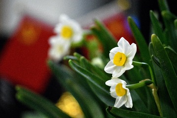 003AE974-2F18-4090-9F7A-0F0832788831/L0/001