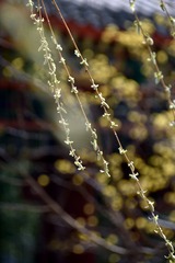 0E0DEC24-8696-46B9-A7FD-05E7E4323941/L0/001