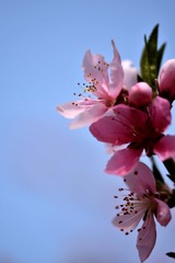 C7D337F6-0305-4ED2-816D-44BF54AA19A7/L0/001
