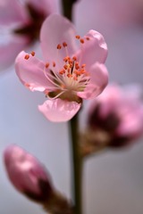 43FD56CF-F692-4C0C-A7F2-4FAF3EF32451/L0/001