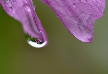 D67BD9ED-A8EB-497E-80A1-6315771F7B57/L0/001
