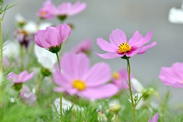 3BB778B7-7F77-473C-B4FA-E8503D0A5994/L0/001