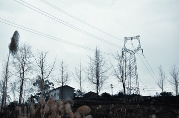 49803