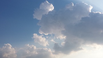 91164