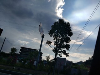 1310567