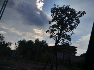1310569