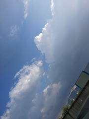1310545