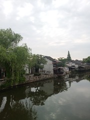 3083981