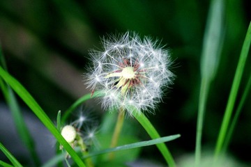 IMG_0565副本.jpg