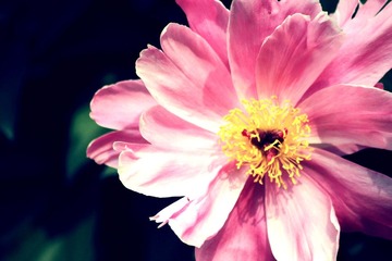 IMG_0884副本.jpg