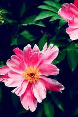 IMG_0886副本.jpg