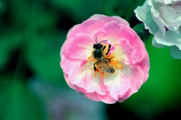 IMG_0887副本.jpg