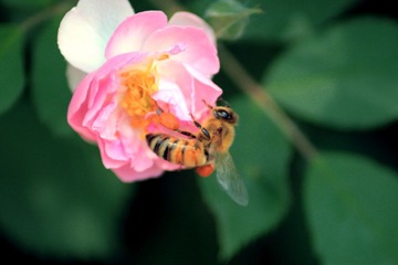 IMG_0888副本.jpg