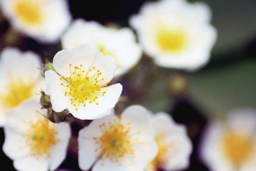 IMG_0892副本.jpg
