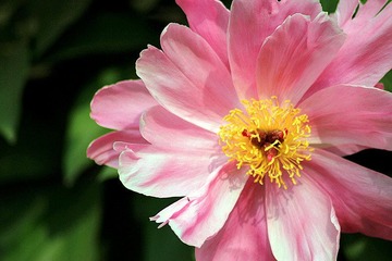 IMG_0884_副本.jpg