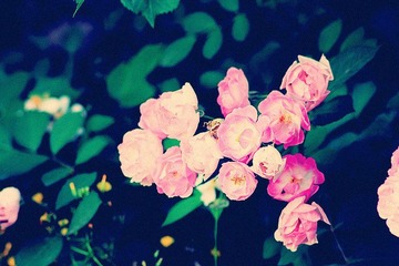 IMG_1164_副本.jpg