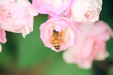 IMG_1167_副本.jpg