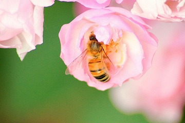 IMG_1169_副本.jpg