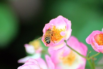 IMG_1171_副本.jpg