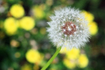 IMG_11311.jpg