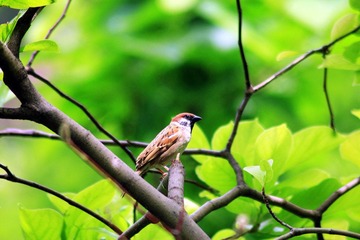 IMG_1487_副本.jpg