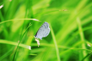 IMG_1491_副本.jpg