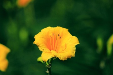 IMG_1541副本.jpg