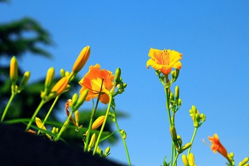 IMG_1539副本.jpg