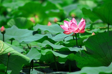 IMG_2530副本.jpg