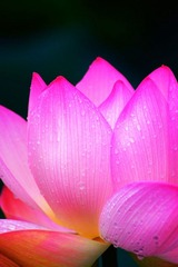 IMG_2683副本.jpg
