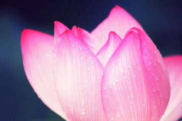 IMG_2725副本.jpg