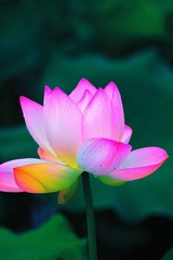 IMG_2689副本.jpg