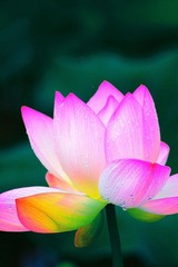 IMG_2690副本.jpg