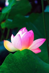 IMG_2708副本.jpg